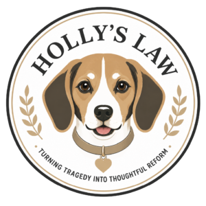 Holly's Law Logo