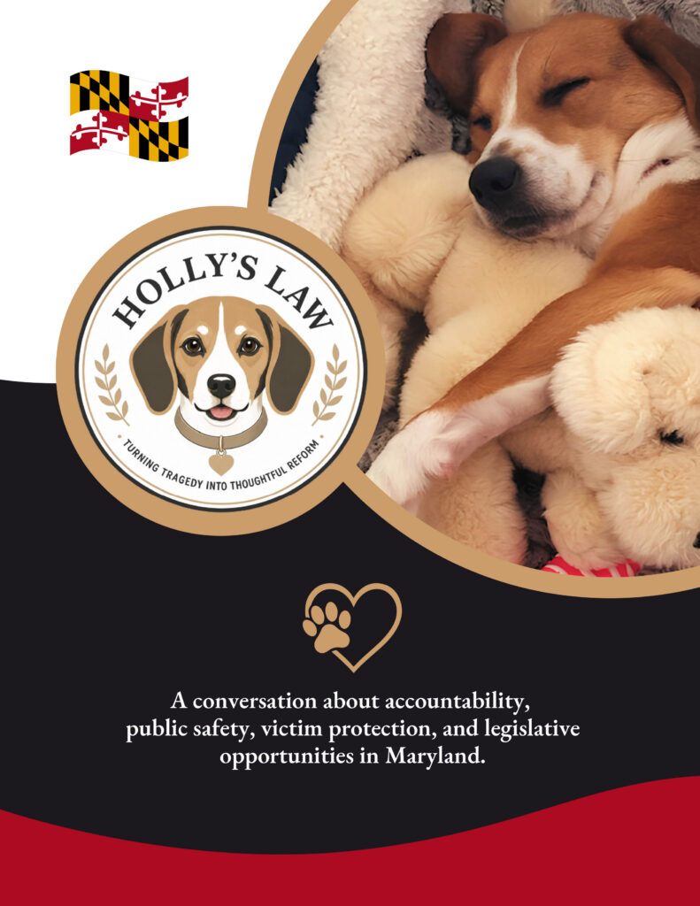 Holly's Law Proposal Cover